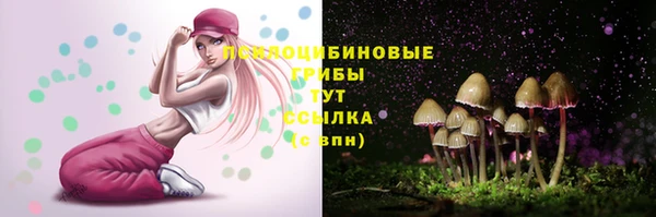 твердый Арсеньев